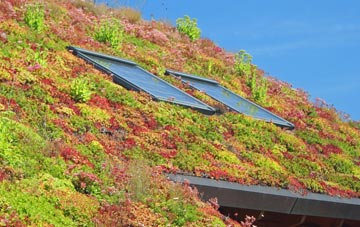 Lower Midway living roof systems